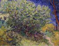 Gogh Vincent van Lilac Bush  - Hermitage